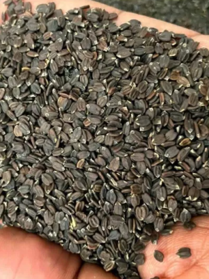 Ban Silam 100gm
